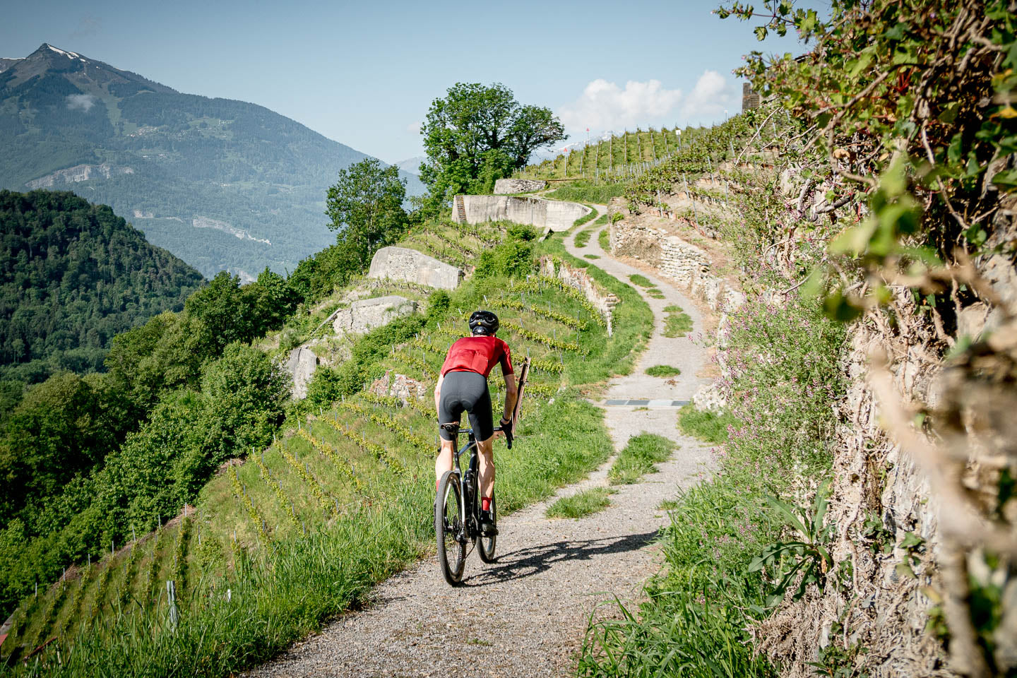 Entrada UCI Gravel Suisse 2024