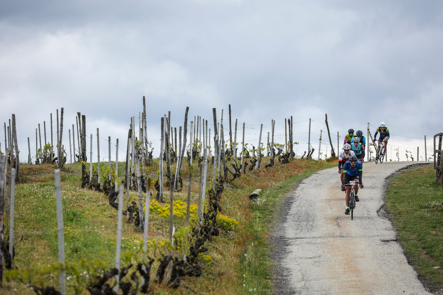 Granfondo Bra-Bra